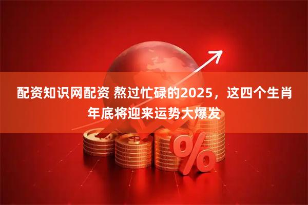 配资知识网配资 熬过忙碌的2025，这四个生肖年底将迎来运势大爆发